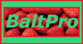 BALTPRO EXPORT FROM LITHUANIA