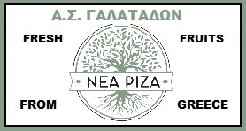 A C GALATADON ” NEA RIZA ” EXPORT FRUITS FROM GREECE