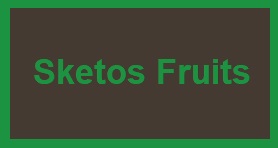 SKETOS FRUITS EXPORT KIWI FROM PIRGETO